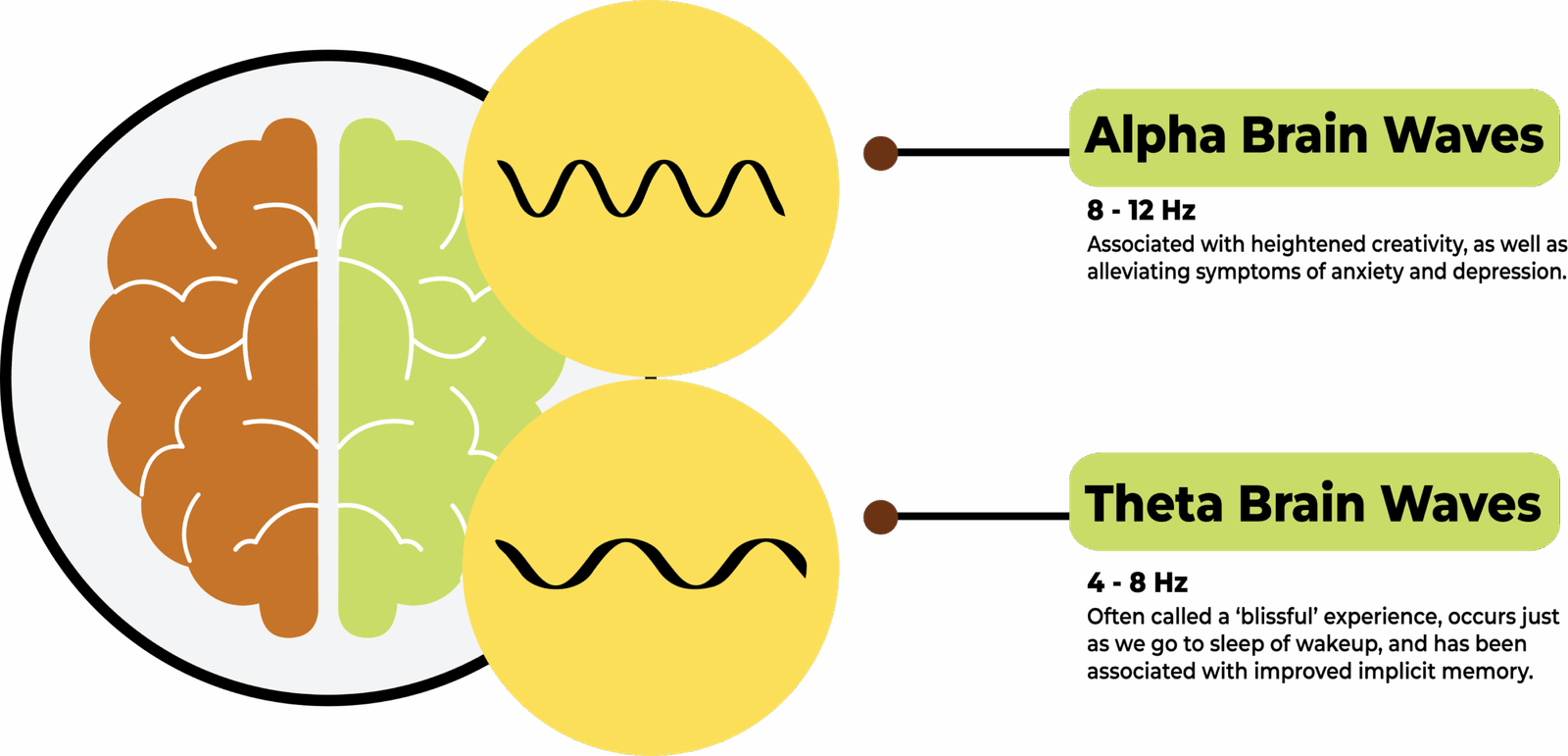 Alpha Theta Brainwaves
